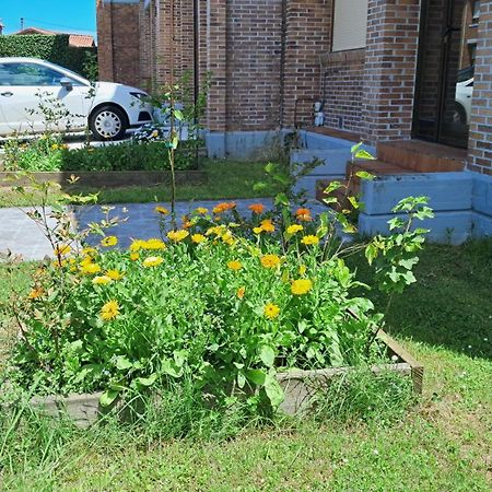 Casa Grande Con Jardin Villa Santa Cruz De Bezana Kültér fotó